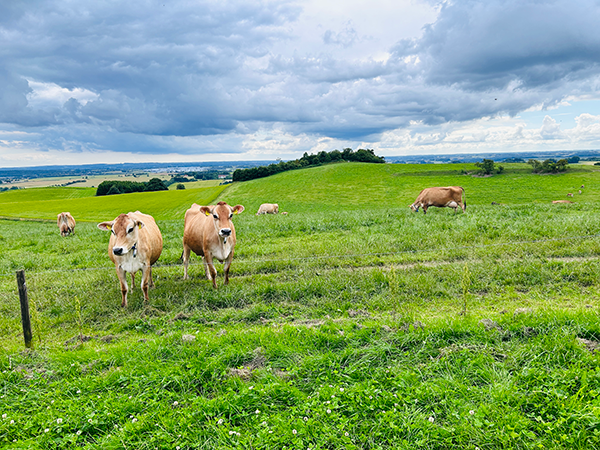 1736936475980091.png 3-(2).png