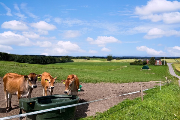 1737458328532499.jpg 11461737427998_.pic_hd_副本.jpg