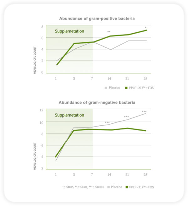 1752215044619817.png 圖3 _副本.png